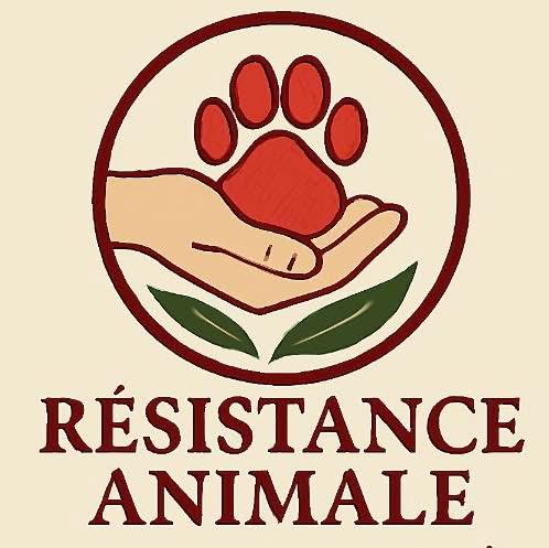 Résistance Animale