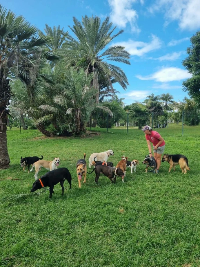 Exemple de balade Caledo dog3