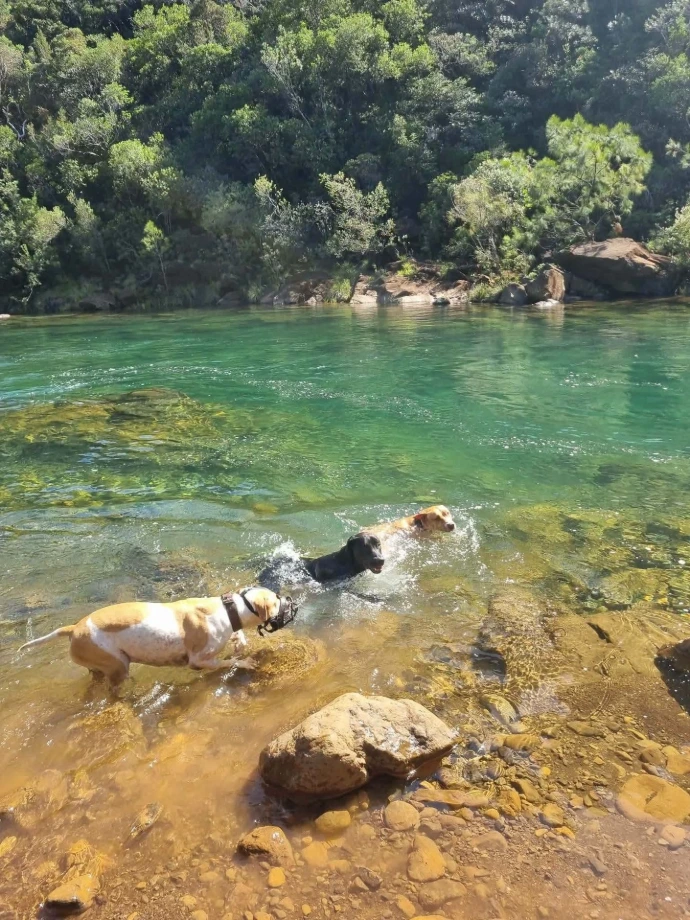 Exemple de balade Caledo dog11