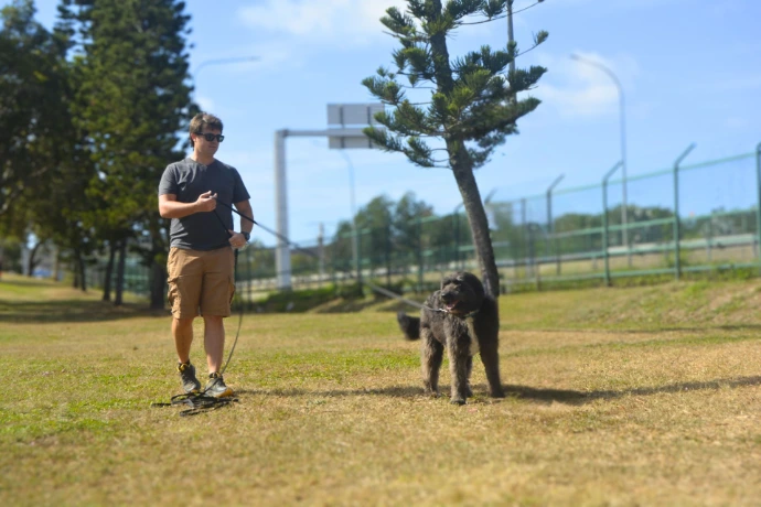 Exemple de cours Dog Harmony 4