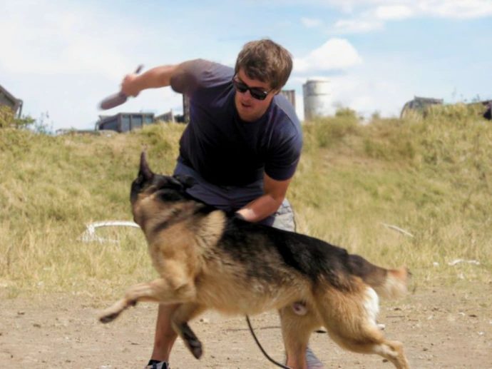 Exemple de cours Dog Harmony 6