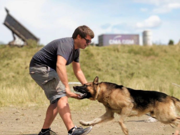 Exemple de cours Dog Harmony 7