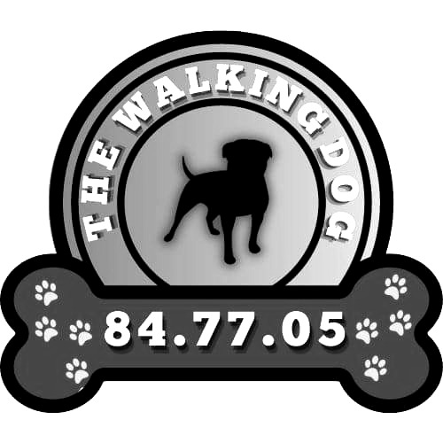 Éducateurs Canins Nouvelle-Calédonie : The Walking Dog NC