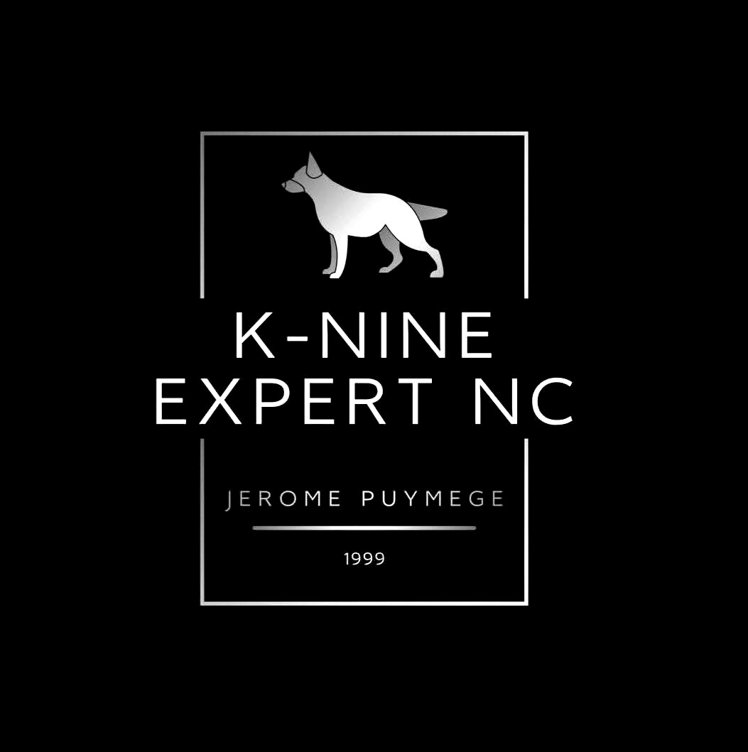 Éducateurs Canins Nouvelle-Calédonie : K-Nine Expert NC