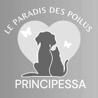 Pension canine en Nouvelle-Calédonie : Principessa NC
