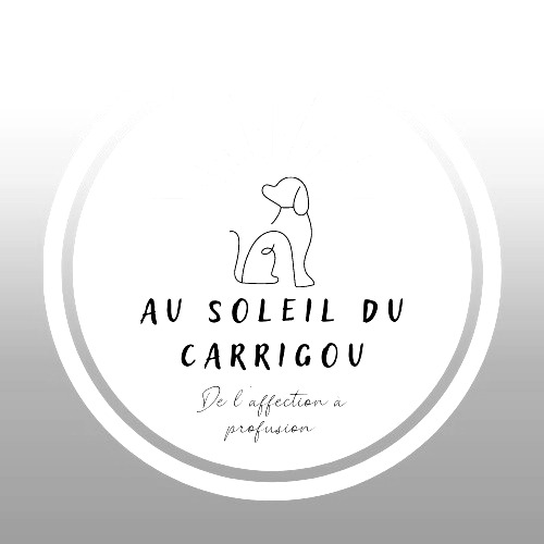 Pension canine en Nouvelle-Calédonie : Au soleil du Carrigou
