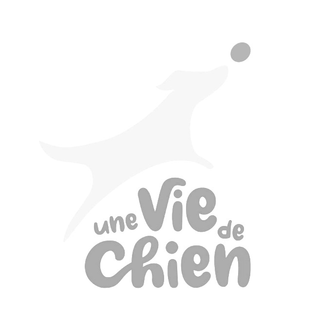 Promeneurs Canins de Nouvelle-Calédonie : Une vie de chien