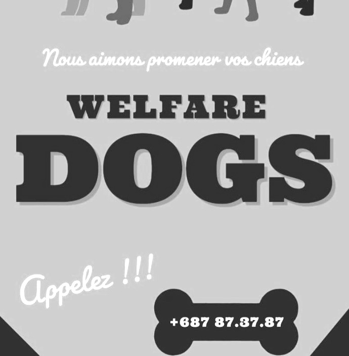 Promeneurs Canins de Nouvelle-Calédonie : Welfare Dogs