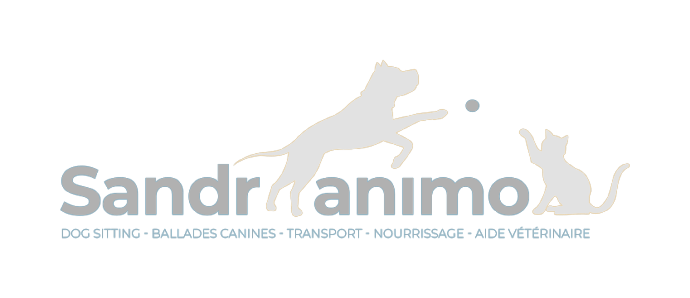 Promeneurs Canins de Nouvelle-Calédonie : Sandr'Animo