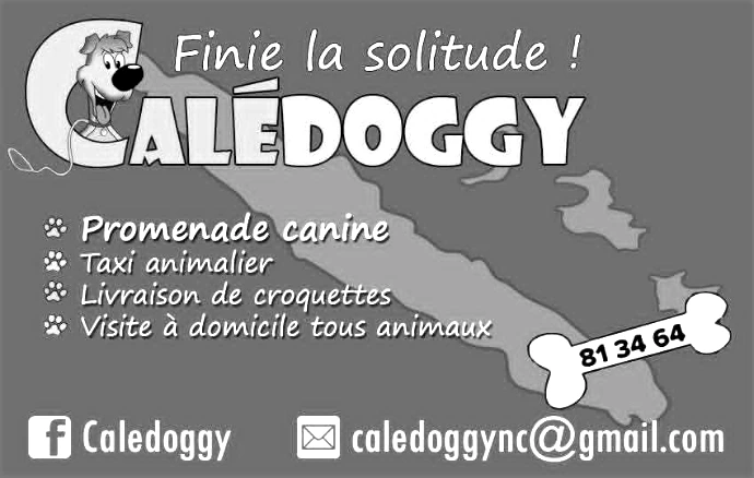 Promeneurs Canins de Nouvelle-Calédonie : Caledoggy