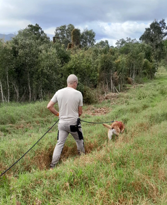 Mantrailing 2
