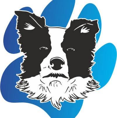 Logo 1 Balades de Clem