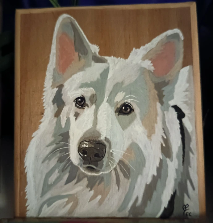Peinture berger blanc suisse de Brut de Bois NC