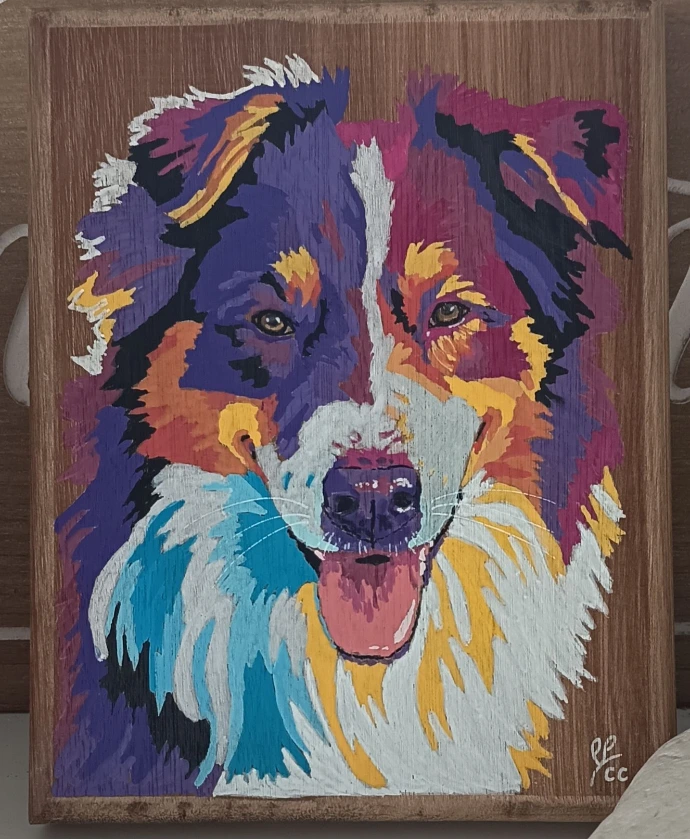 Peinture border collie de Brut de Bois NC