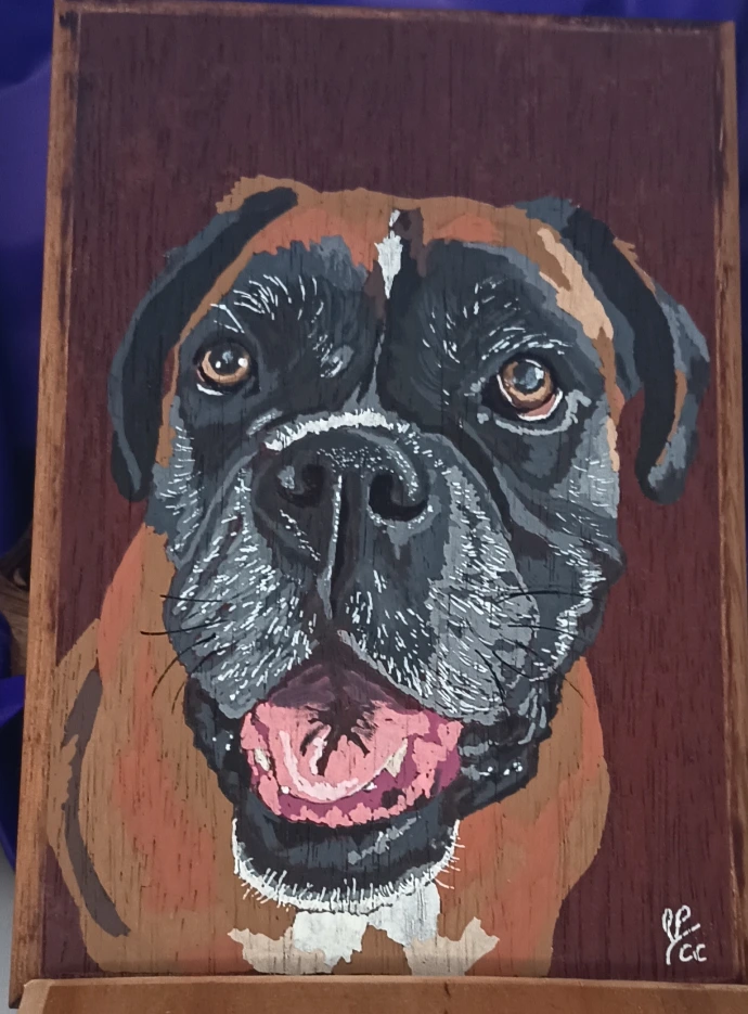 Peinture boxer de Brut de Bois NC