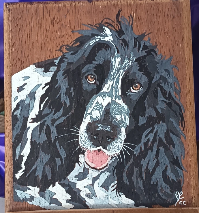 Peinture cocker de Brut de Bois NC