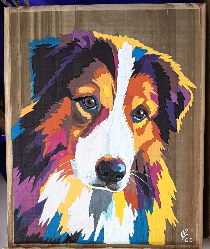 Peinture border collie tête penchée de Brut de Bois NC
