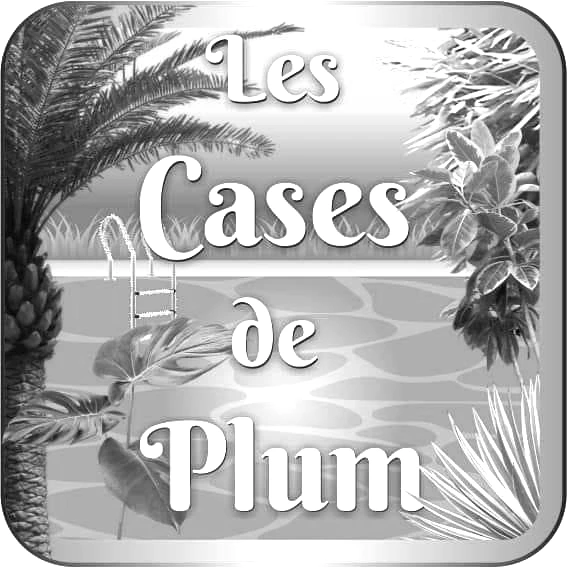 Hébergements acceptant les chiens au Mont-Dore : Les cases de Plum