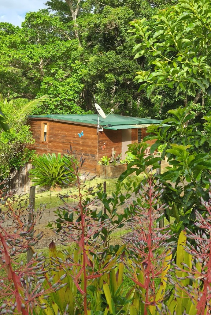 Le chalet en bois du Petit Chalet de Farino, hébergement acceptant les chiens