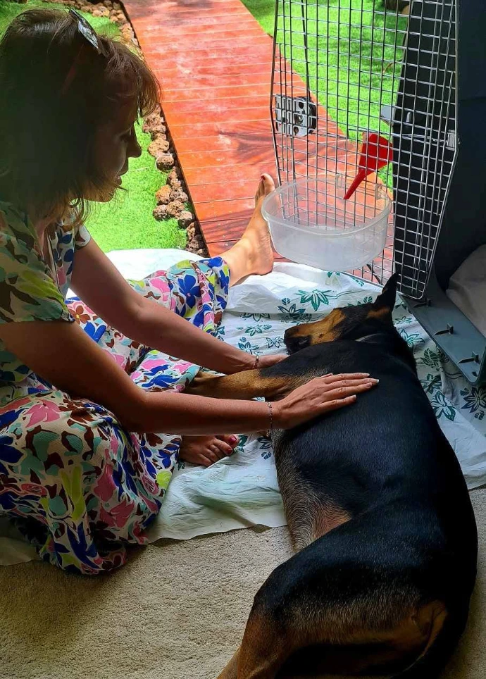 Séance allongé au sol avec chien noir de Natur Anima Naturopathie animale et Reiki à Nouméa