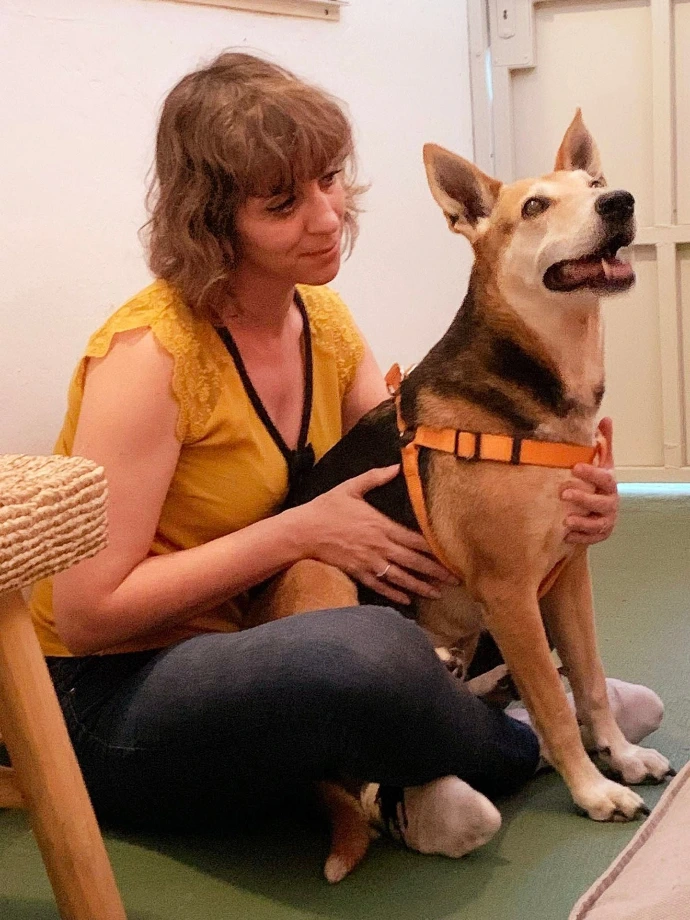 Séance avec un chien assis de Natur Anima Naturopathie animale et Reiki à Nouméa