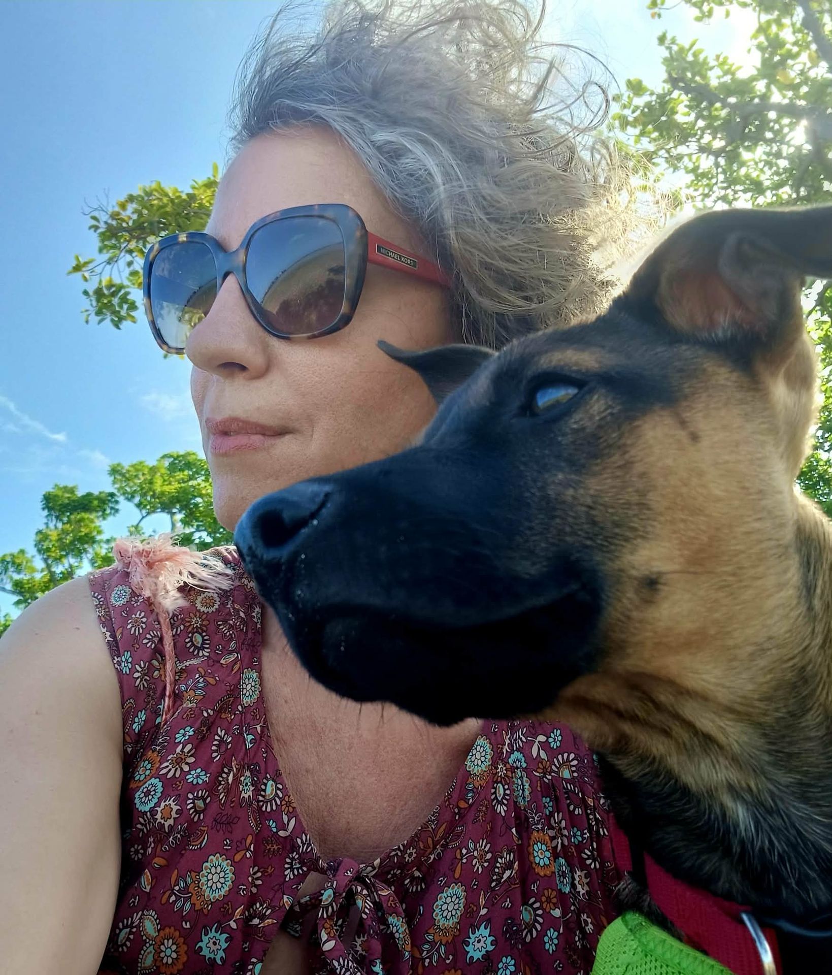 photo de présentation de Natur Anima Naturopathie animale et Reiki à Nouméa avec un chien