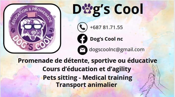 Carte de visite de Dog s Cool NC à Nouméa