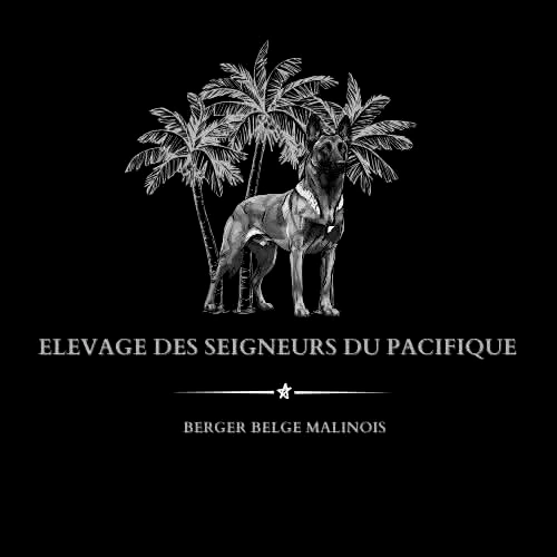 élevage de Bergers Belges Malinois en Nouvelle-Calédonie : Des Seigneurs du Pacifique