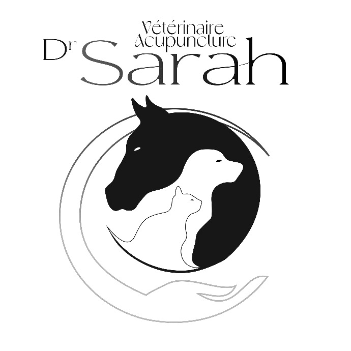 Soins et bien être animal en Nouvelle-Calédonie : Dr Sarah Acupuncture