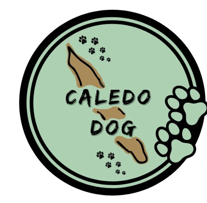 Taxi animalier en Nouvelle-Calédonie : Caledo Dog