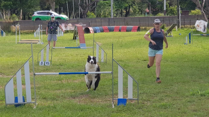 Séance d éducation canine au Club Canin de Dumbéa, face au parc Fayard