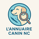 Comment choisir un harnais pour votre chien ?